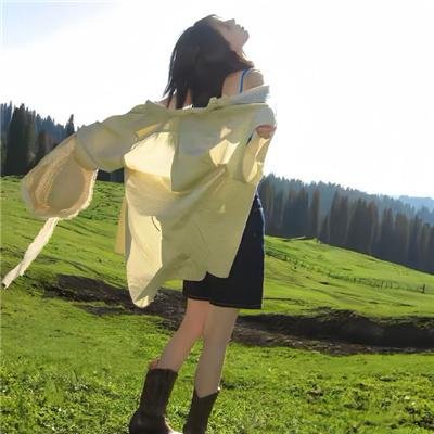 随风追寻